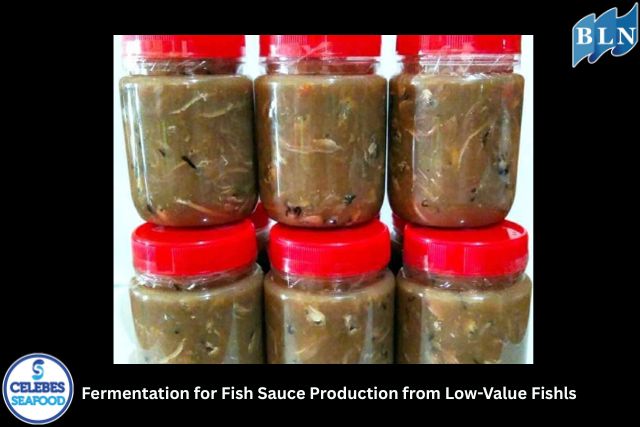 Fermentation for Fish Sauce Production from Low-Value Fish